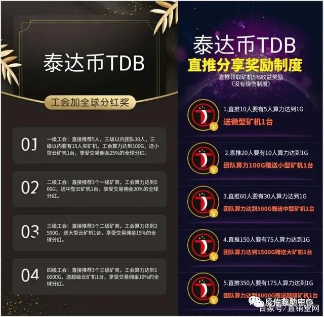 泰达币背书(泰达币怎么盈利)