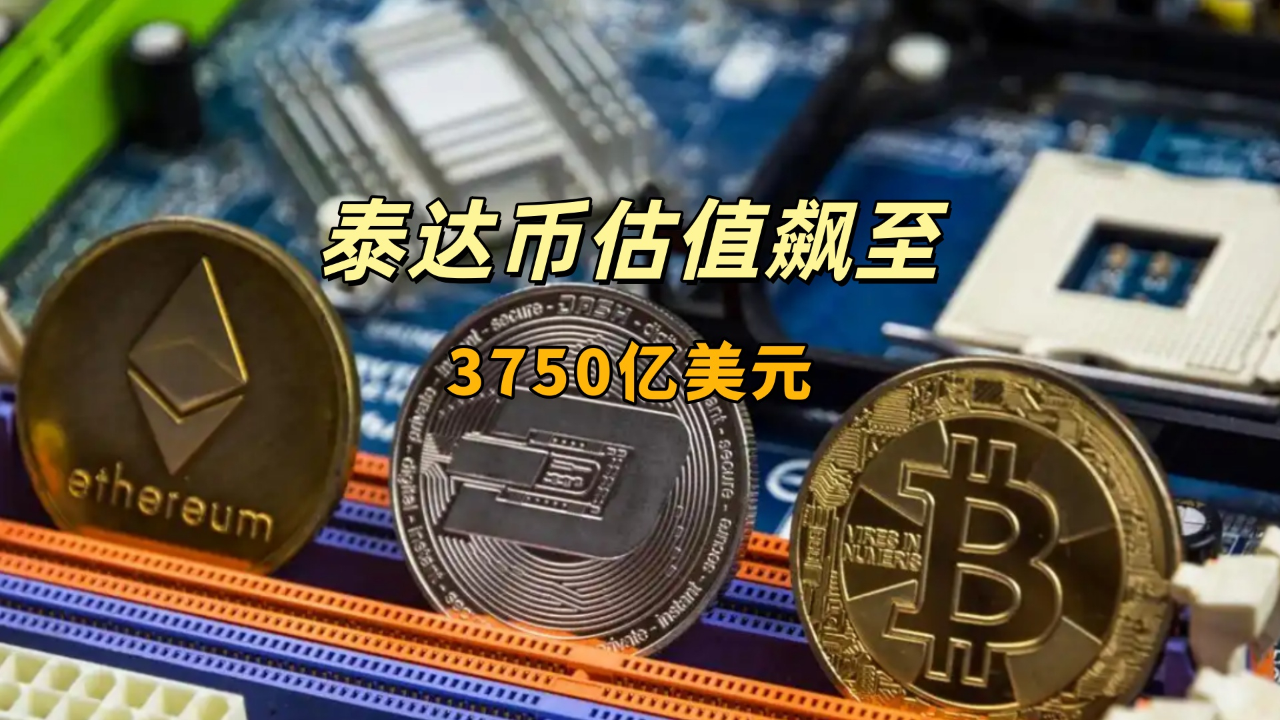 泰达币公司(泰达币公司是哪个国家的)